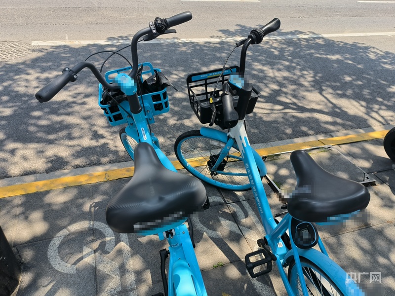 内有情趣用品律师称涉案人员或将面临行政拘留不朽情缘试玩网站上